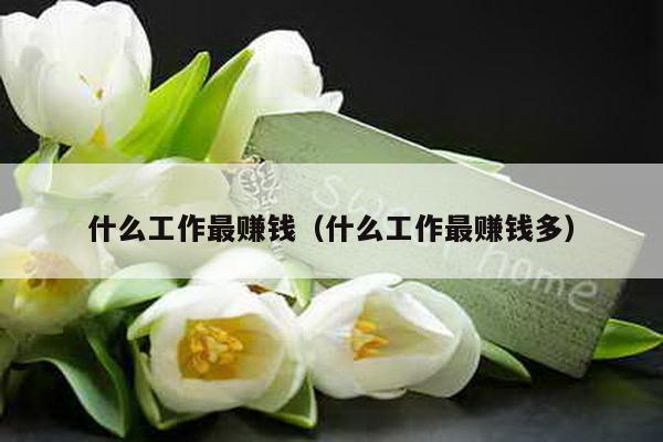 什么工作最赚钱（什么工作最赚钱多）