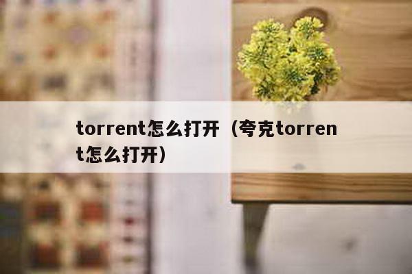 torrent怎么打开（夸克torrent怎么打开）
