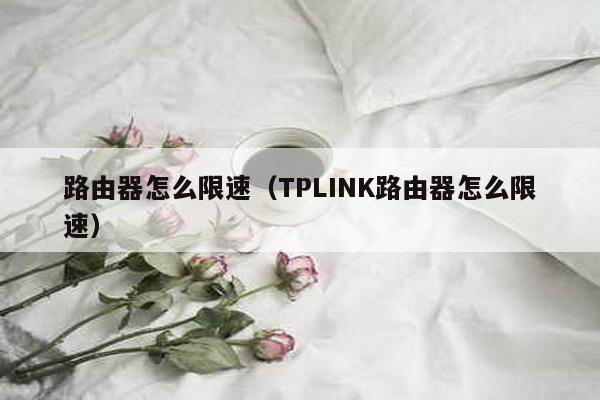路由器怎么限速（TPLINK路由器怎么限速）