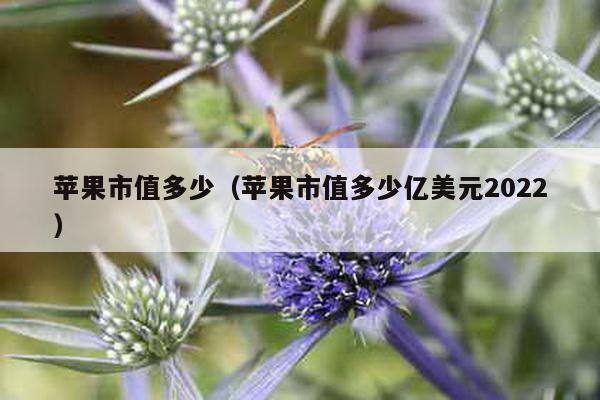 苹果市值多少（苹果市值多少亿美元2022）