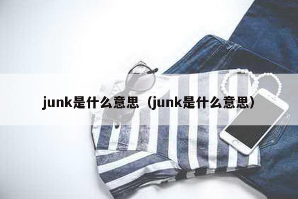 junk是什么意思（junk是什么意思）