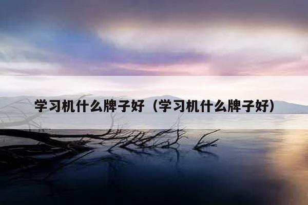 学习机什么牌子好（学习机什么牌子好）