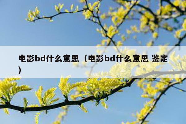 电影bd什么意思（电影bd什么意思 鉴定）