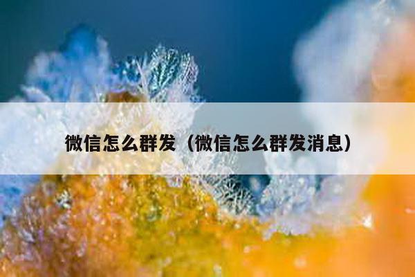 微信怎么群发（微信怎么群发消息）