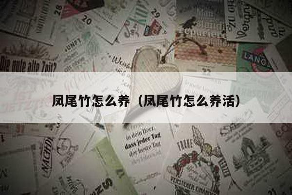 凤尾竹怎么养（凤尾竹怎么养活）