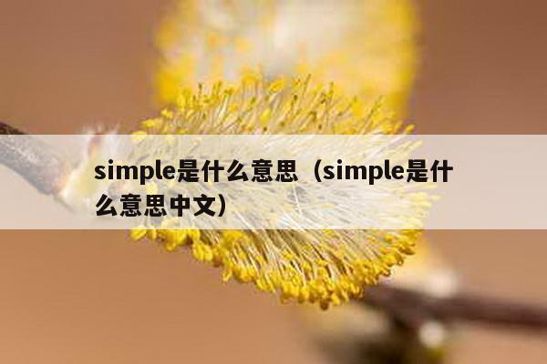 simple是什么意思（simple是什么意思中文）
