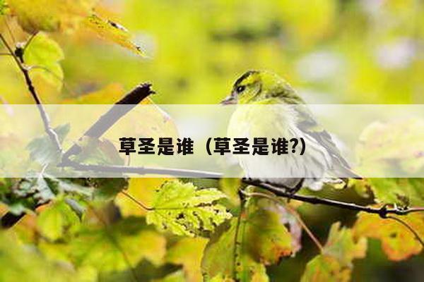 草圣是谁（草圣是谁?）