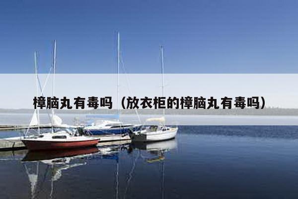 樟脑丸有毒吗（放衣柜的樟脑丸有毒吗）