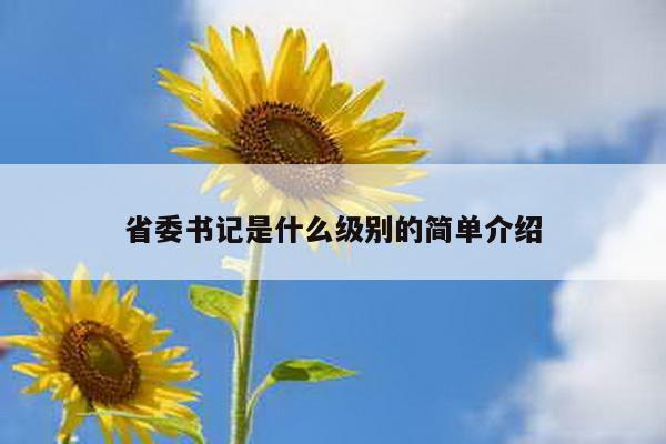 省委书记是什么级别的简单介绍
