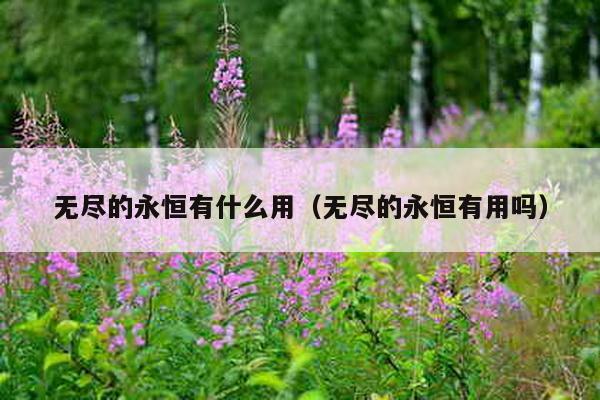 无尽的永恒有什么用（无尽的永恒有用吗）