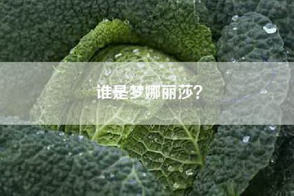 谁是梦娜丽莎？