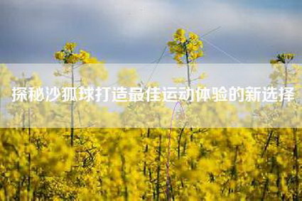 探秘沙狐球打造最佳运动体验的新选择