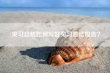 见习总结如何写好见习总结报告？