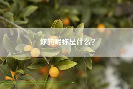 你的昵称是什么？