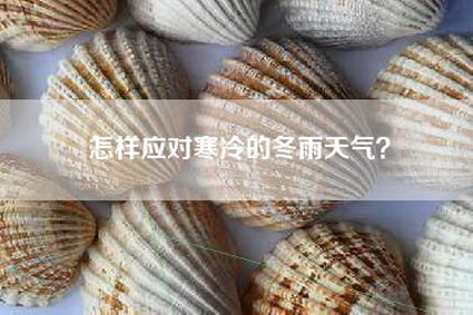 怎样应对寒冷的冬雨天气？