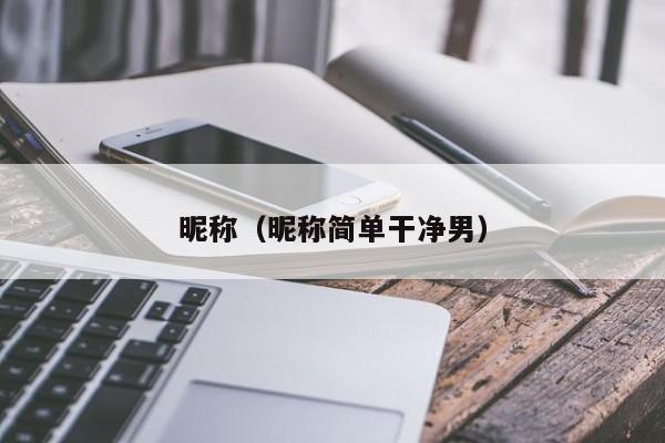 昵称（昵称简单干净男）