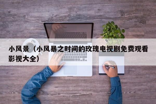 小风景（小风暴之时间的玫瑰电视剧免费观看影视大全）