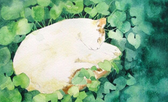 欢迎使用Z-BlogPHP！