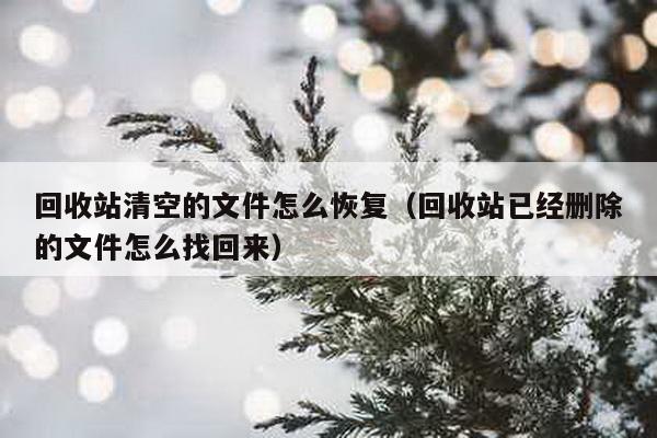 回收站清空的文件怎么恢复（回收站已经删除的文件怎么找回来）