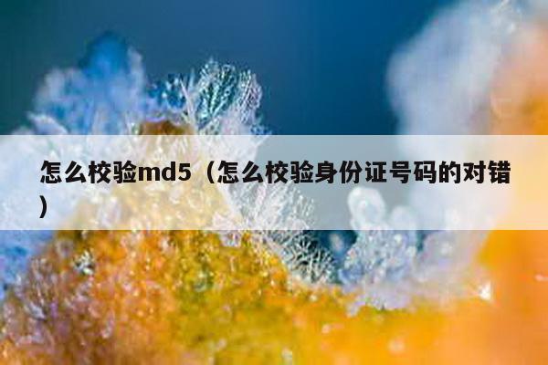 怎么校验md5（怎么校验身份证号码的对错）