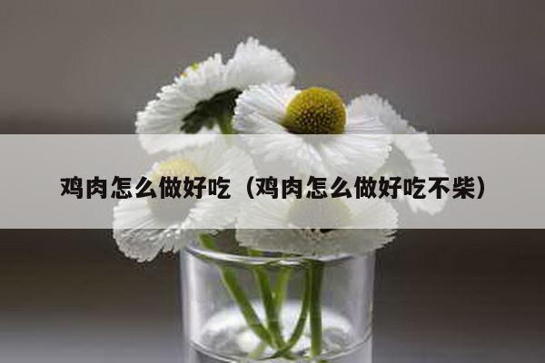 鸡肉怎么做好吃（鸡肉怎么做好吃不柴）