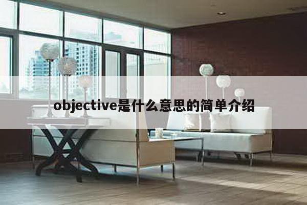 objective是什么意思的简单介绍