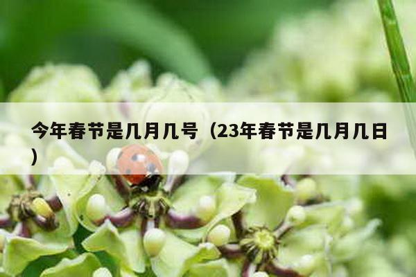 今年春节是几月几号（23年春节是几月几日）