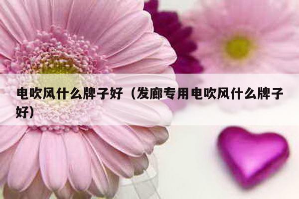 电吹风什么牌子好（发廊专用电吹风什么牌子好）