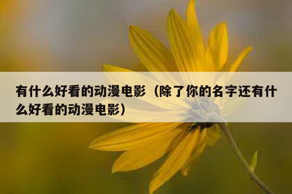 有什么好看的动漫电影（除了你的名字还有什么好看的动漫电影）