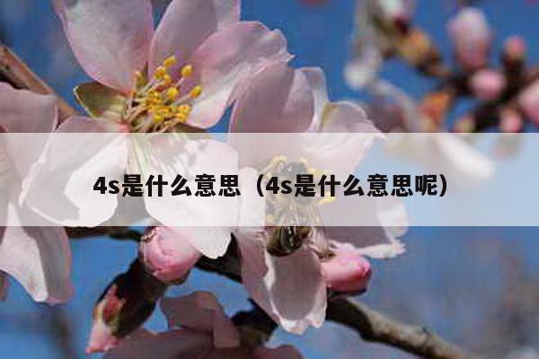 4s是什么意思（4s是什么意思呢）