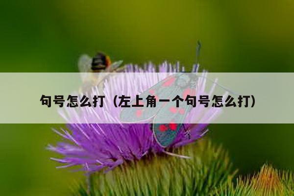 句号怎么打（左上角一个句号怎么打）