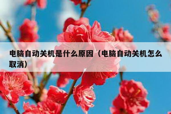 电脑自动关机是什么原因（电脑自动关机怎么取消）