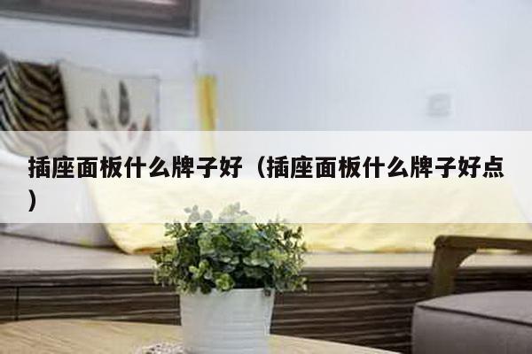 插座面板什么牌子好（插座面板什么牌子好点）