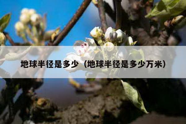 地球半径是多少（地球半径是多少万米）