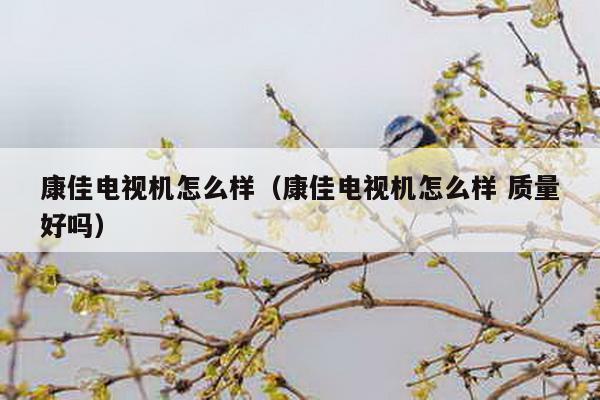 康佳电视机怎么样（康佳电视机怎么样 质量好吗）