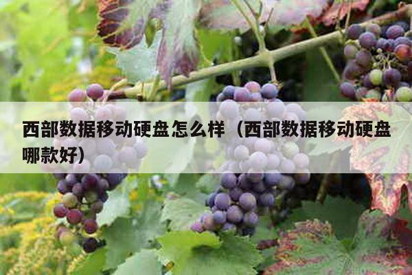 西部数据移动硬盘怎么样（西部数据移动硬盘哪款好）