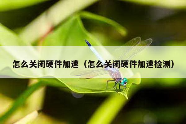 怎么关闭硬件加速（怎么关闭硬件加速检测）
