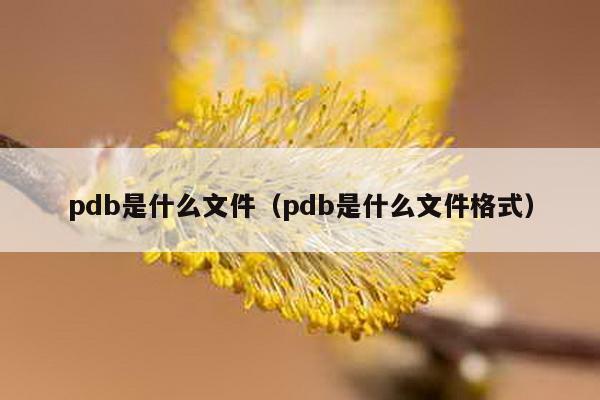pdb是什么文件（pdb是什么文件格式）