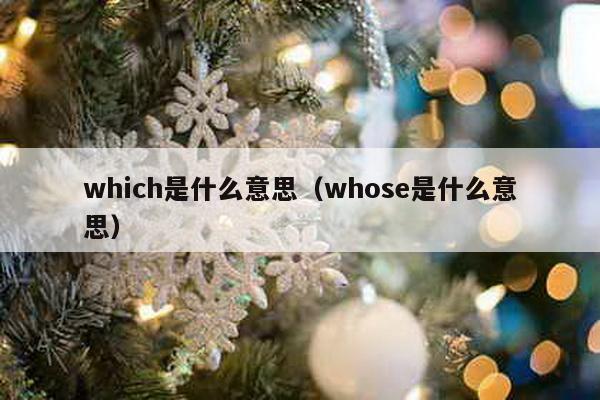 which是什么意思（whose是什么意思）