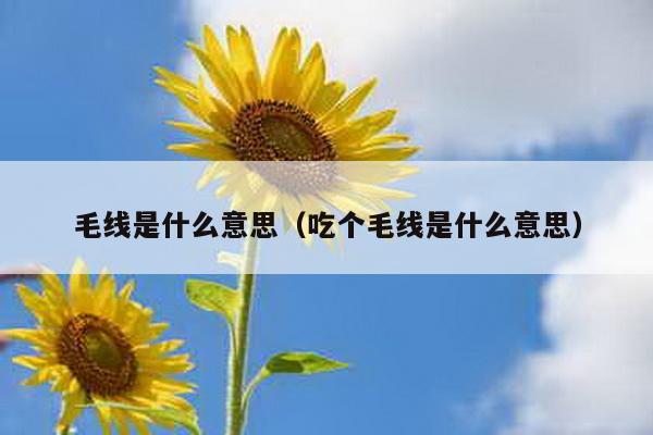 毛线是什么意思（吃个毛线是什么意思）