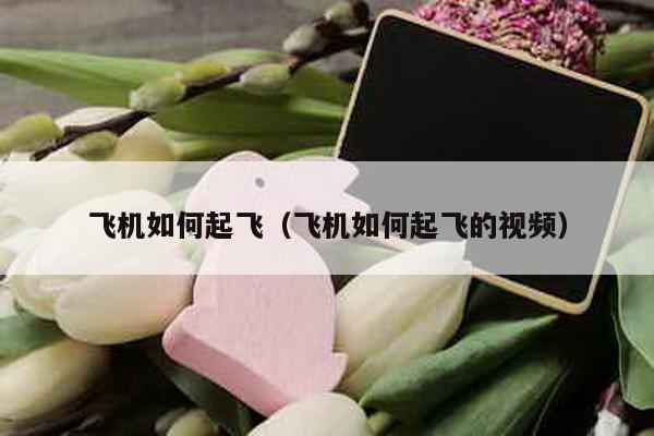 飞机如何起飞（飞机如何起飞的视频）