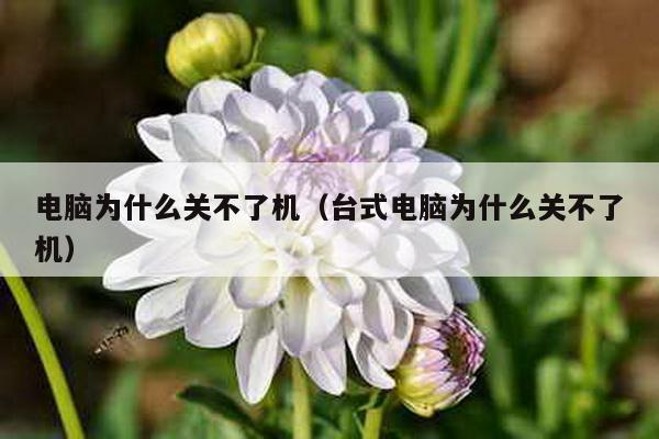电脑为什么关不了机（台式电脑为什么关不了机）