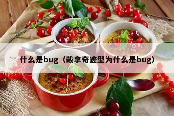 什么是bug（戴拿奇迹型为什么是bug）