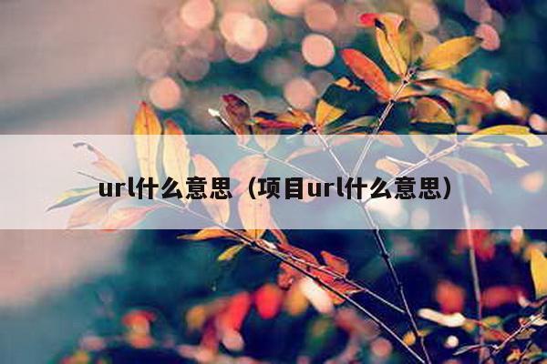url什么意思（项目url什么意思）