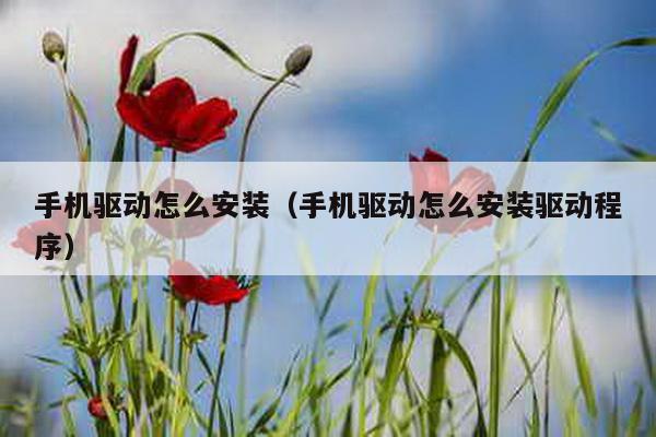 手机驱动怎么安装（手机驱动怎么安装驱动程序）