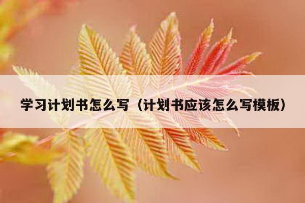 学习计划书怎么写（计划书应该怎么写模板）