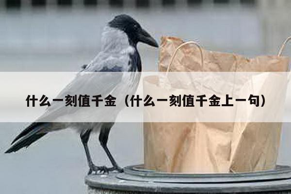 什么一刻值千金（什么一刻值千金上一句）