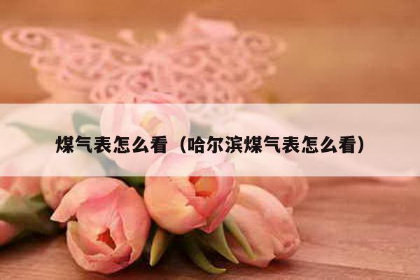 煤气表怎么看（哈尔滨煤气表怎么看）