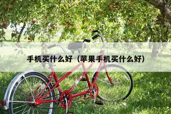 手机买什么好（苹果手机买什么好）