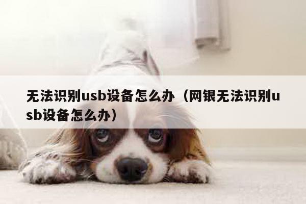 无法识别usb设备怎么办（网银无法识别usb设备怎么办）